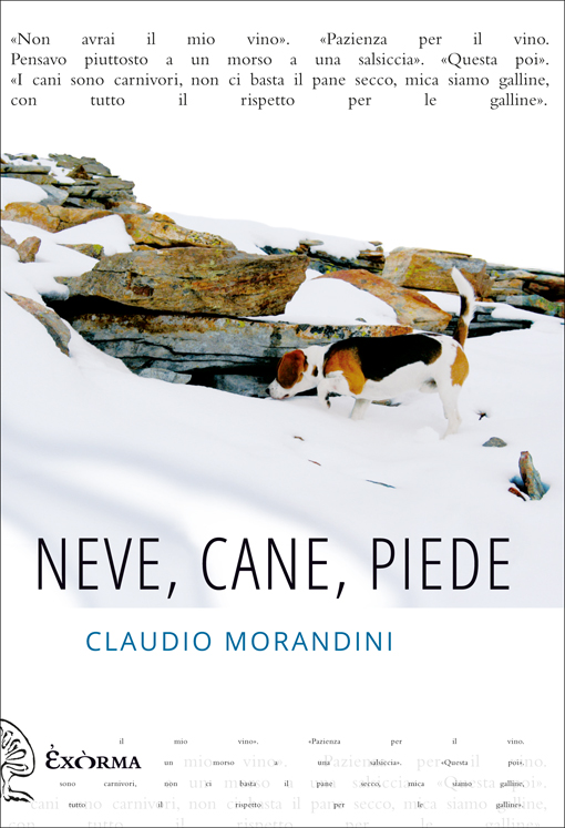 Neve, cane, piede - di Claudio Morandini