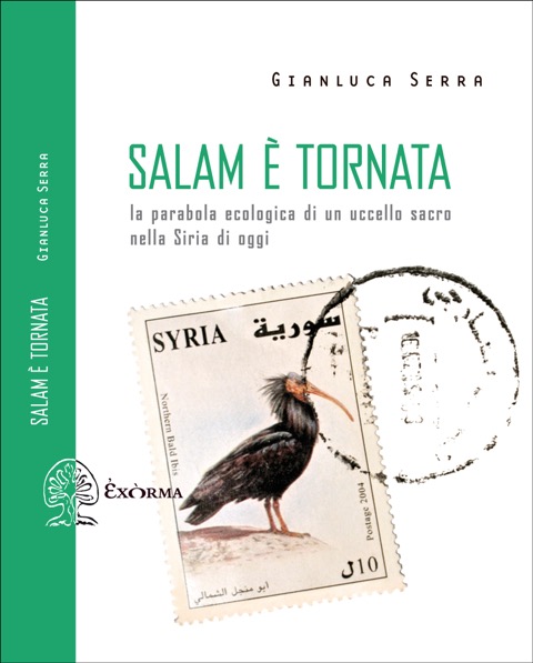 Salam è tornata - Gianluca Serra